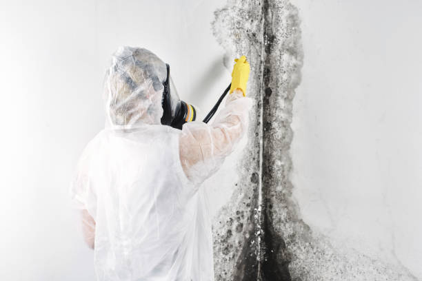 Best Mold removal after water damage  in Tullahoma, TN